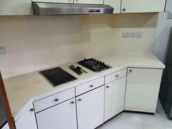 Rafflesia Condominium (D20), Condominium #452763791